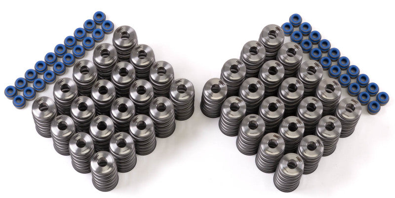 GSC P-D Audi R8 V10 / Lamborghini Huracan V10 5.2L Valve Spring & Ti Retainer Kit (w/Seats & Seals)