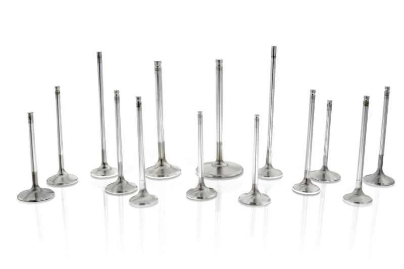 Ferrea Chevrolet BB 1.9in 11/32in 5.5in 0.25in 22 Deg Competition Plus Exhaust Valve - Set of 8